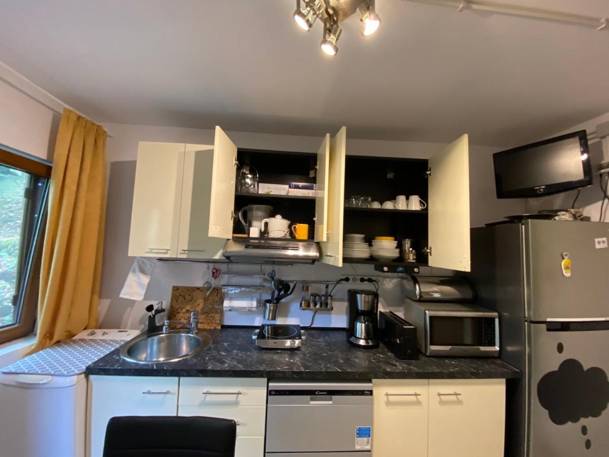 브라쇼브 Skay Loft B&B 외부 사진
