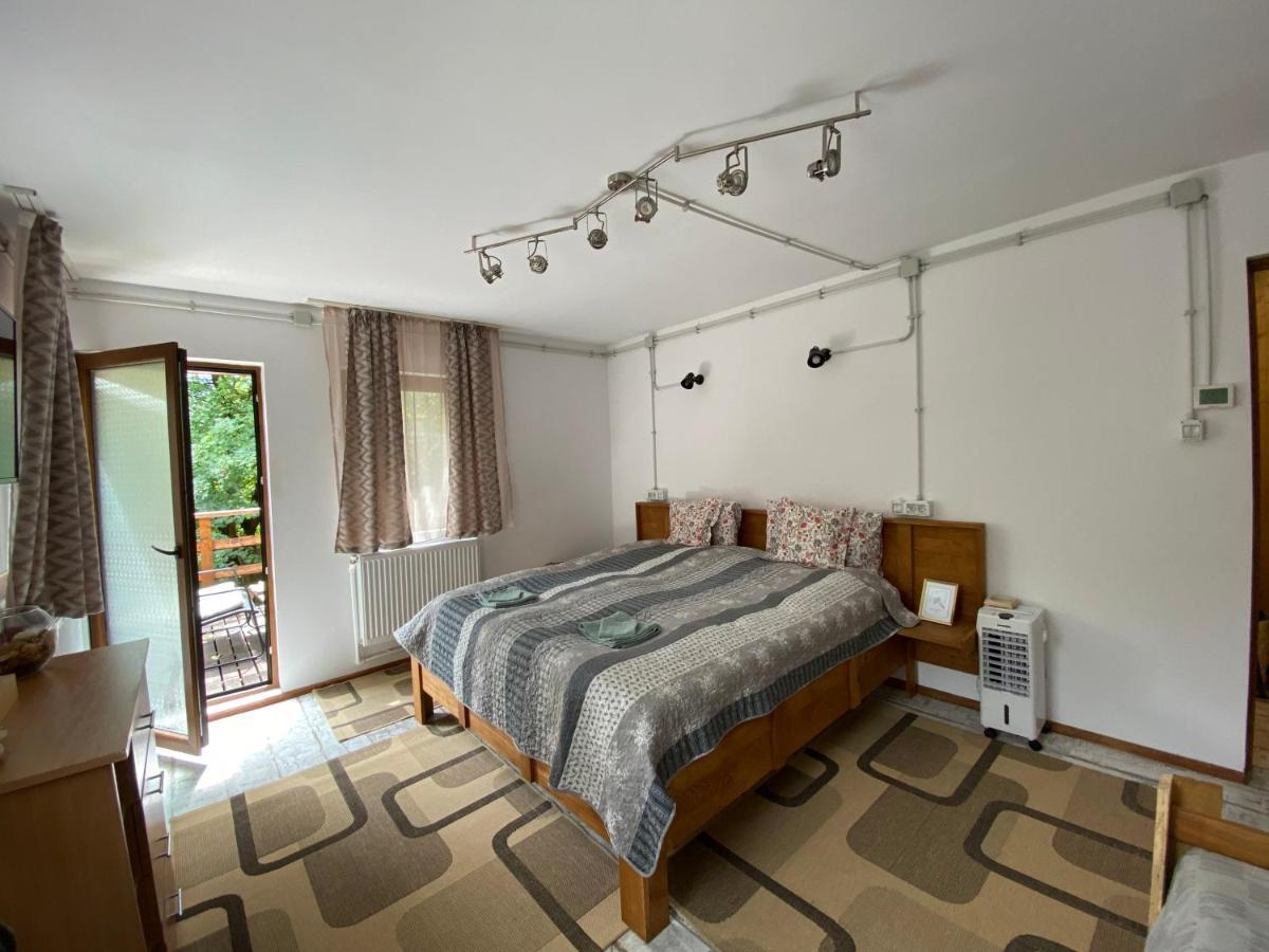 브라쇼브 Skay Loft B&B 외부 사진