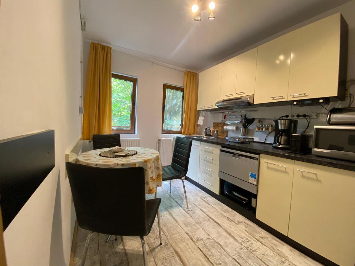 브라쇼브 Skay Loft B&B 외부 사진