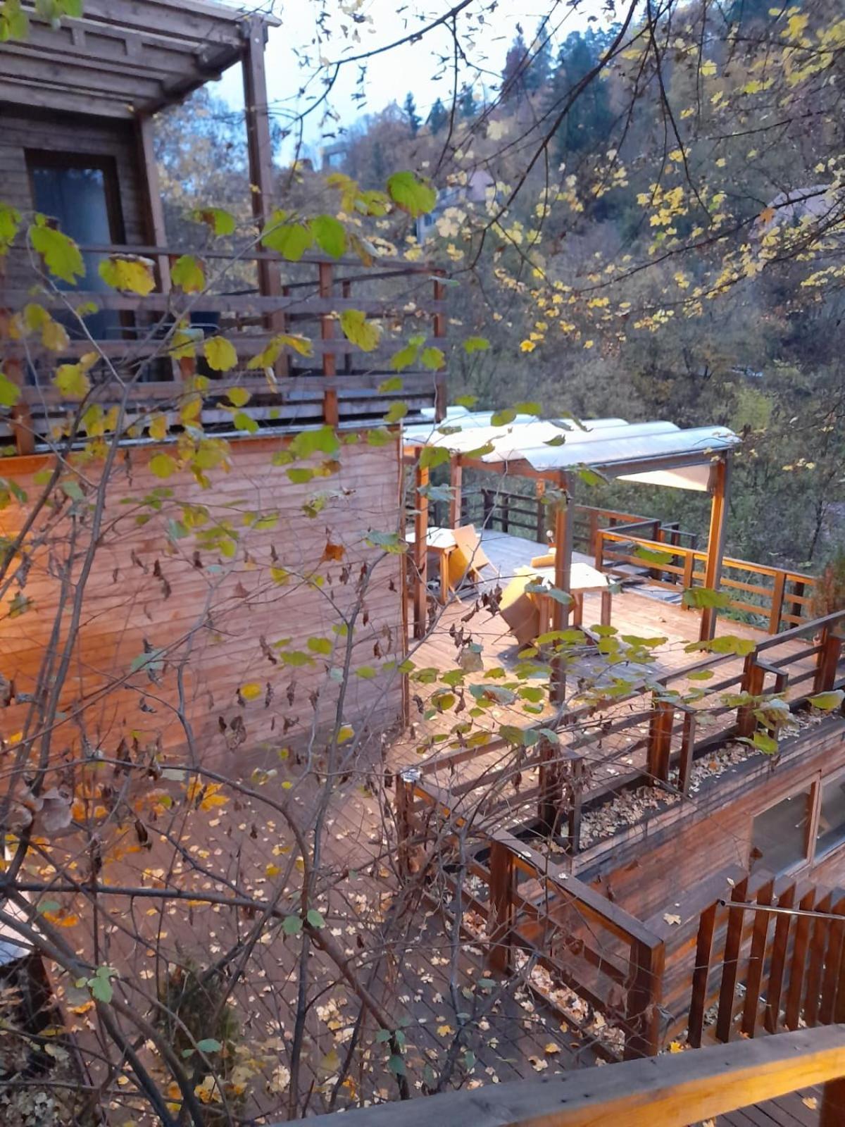 브라쇼브 Skay Loft B&B 외부 사진