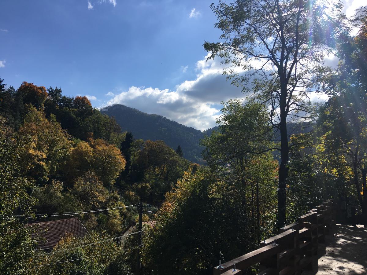 브라쇼브 Skay Loft B&B 외부 사진