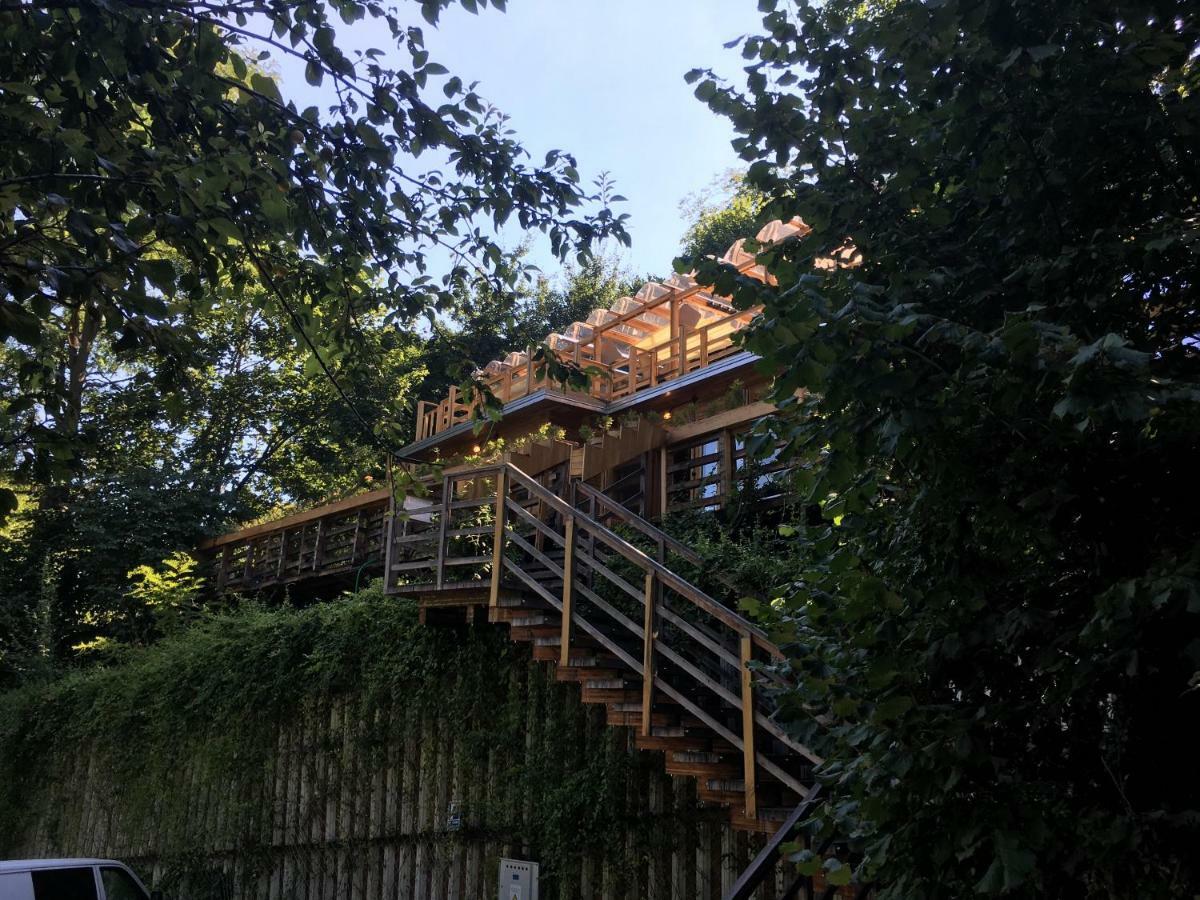브라쇼브 Skay Loft B&B 외부 사진