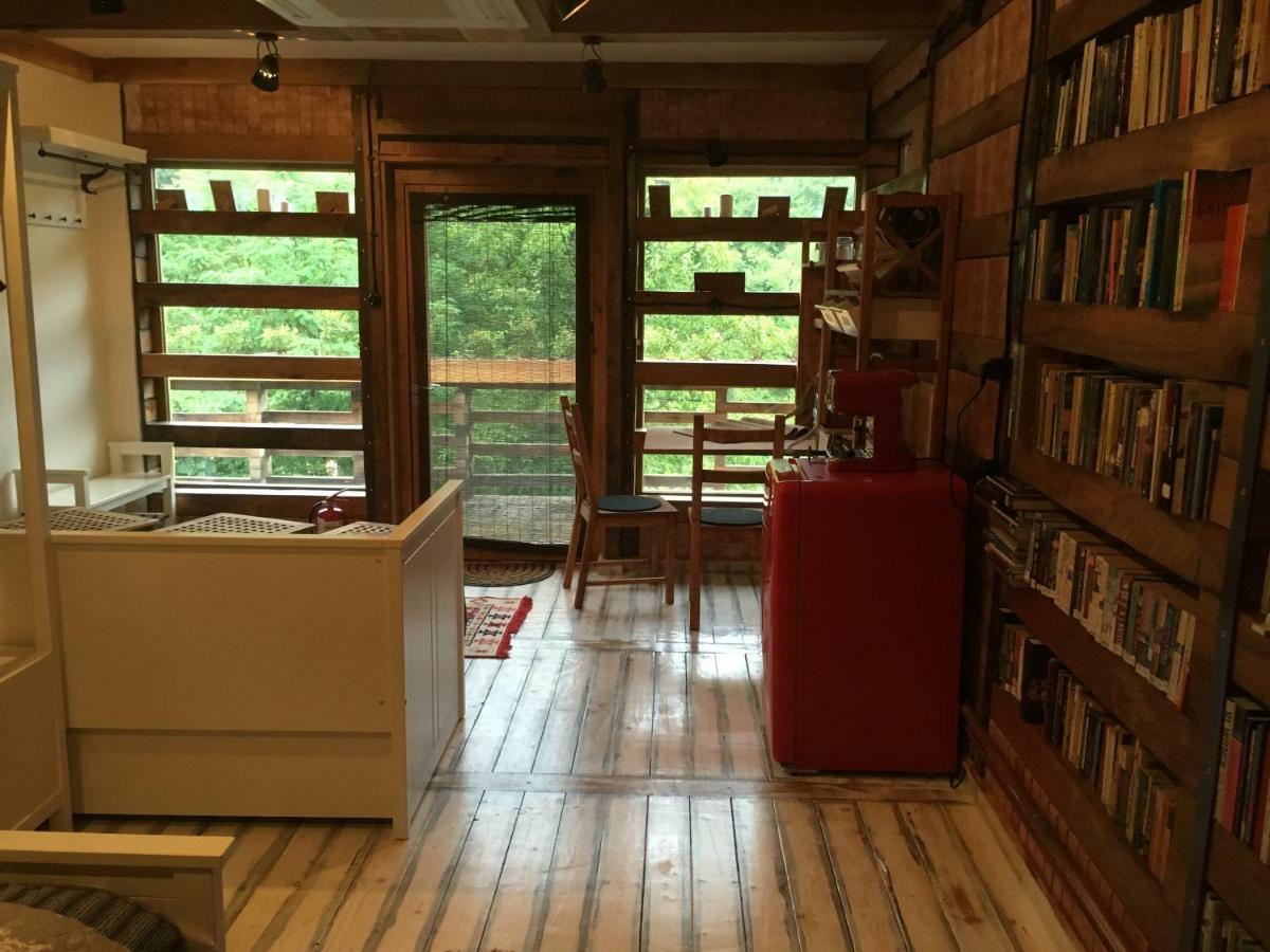 브라쇼브 Skay Loft B&B 외부 사진